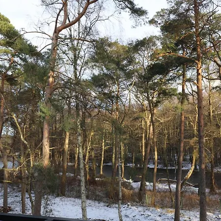 Nowe kameralne Apartamenty Graniczna2G Niechorze - sosnowy las i bardzo blisko plaży Zewnętrze zdjęcie